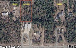E Royal Oak Drive, Keaton Beach, FL 32348
