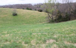 416 New Hope Road, Marshall, AR 72650