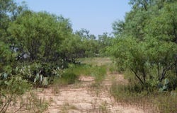 6245 HWY 83, Winters, TX 79567