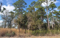 3214 SR-66, SEBRING, FL 33875