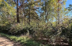 207 Ambler Drive, Brooklyn, MI 49230
