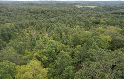County Road 76-126, Ava, MO 65608