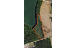 Pinckney Rd., Nichols, SC 29581