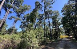 244 Pine Cone Lane, Hemphill, TX 75948