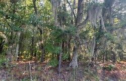 Mulberry Road, Barnwell, SC 29812