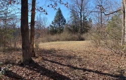 WHITES FARM LANE, CULPEPER, VA 22701
