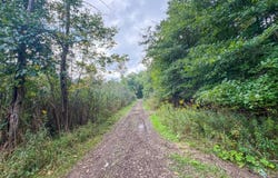 460 Prentice Rd. NW, Warren, OH 44481