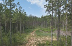 769 Ms-43, Oak Vale, MS 39656