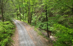 Hobe Maples Way, Sevierville, TN 37876