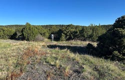 Silver Spurs Ranch lot: 165, Walsenburg, CO 81089