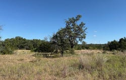 296 E Rolling Oaks Drive, Goldthwaite, TX 76844