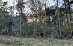 Warrior Dr, Lacombe, LA 70445
