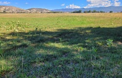 Mt Pleasant, UT 84647