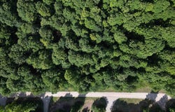 S Honeybee Road, Empire, MI 49621