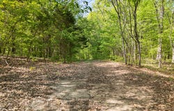Co Rd 675 S, French Lick, IN 47432