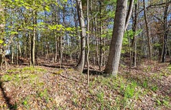 Silver Ridge Road lot: 11, Mears, MI 49436