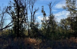 NW CHAMPION OAK BLVD lot: 27, Jennings, FL 32053