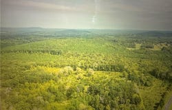 Johnson Road, Denton, NC 27239