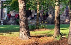 158 Daniel, Tupelo, MS 38801