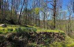Leon Barron Rd, Sylva, NC 28779