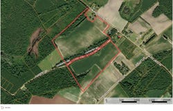 Black Creek Rd., Nichols, SC 29581