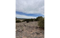 38 CR 8250, Concho, AZ 85924