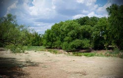345 Butler Loop, Graham, TX 76450