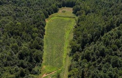 Hwy 69S, PARIS, TN 38344