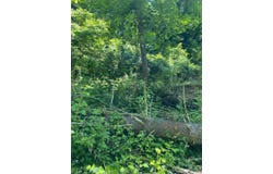 Peach Ridge Rd, Athens, OH 45701