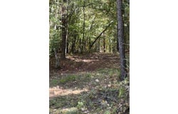 5421 DIXIE SPRINGS Rd, Oakman, AL 35579