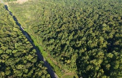 Adrian Hwy., Loris, SC 29569