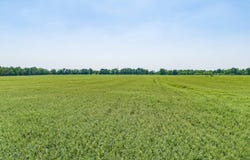 2140 Highway 75, Independence, KS 67301