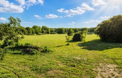 TBD L4 Pine Acres, Whitney, TX 76692