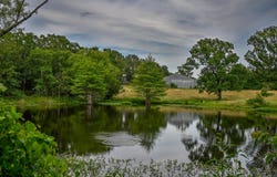 505 Stoney Point, Oden, AR 71961