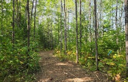 1 Zenith Tower Road, Tomahawk, WI 54487