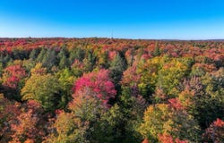 316 acres US 141 Highway, Covington, MI 49919