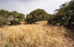 0 Ash Street, Los Osos, CA 93402