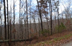 Tomahawk Rd lot: 75, Jamestown, TN 38556