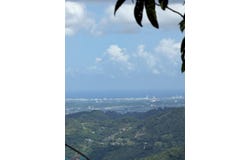 Doña Elena, Comerio, PR 00782