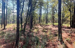 State Highway 225, Bay Minette, AL 36507