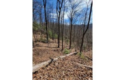 Watson Cove Rd., Franklin, NC 28734