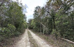 NE 154TH Terrace, WILLISTON, FL 32696