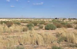 757 DASH Street, Chaparral, NM 88081