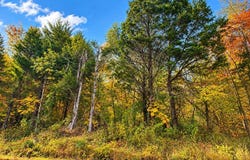 579 Hudson Fairfield Road, Hudson, KY 40145
