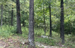 528 Black Oak Road, Mammoth Spring, AR 72554