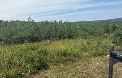 Williams Ridge Drive, Dover, AR 72837
