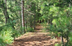 On DR KATE TRAIL, BOULDER JUNCTION, WI 54512