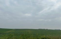 465th St, Fairfax, MN 55332