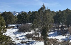 Pine Drive, Ridgway, CO 81432
