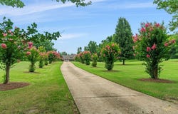 90 CR 371 (LAFAYETTE COUNTY), WATER VALLEY, MS 38965